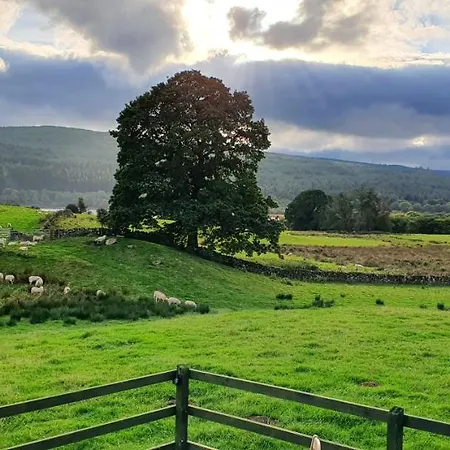 Fauld O Wheat Shepherds Hut , Loch Ken ,Off Grid Castle Douglas Exterior photo