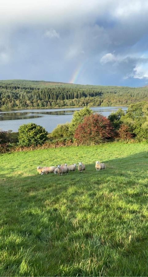 Fauld O Wheat Shepherds Hut , Loch Ken ,off Grid * Castle Douglas